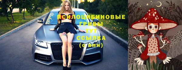 тгк Абинск